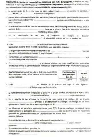 EXAMEN-FA-segundo-cuatri.pdf