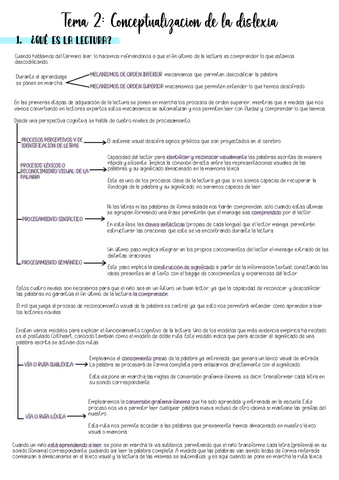 DISLEXIA-T2.pdf