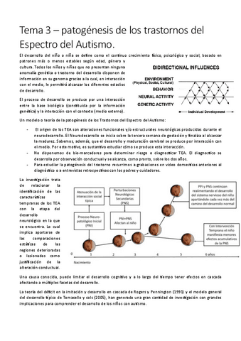 TEA-TEMA-3.pdf