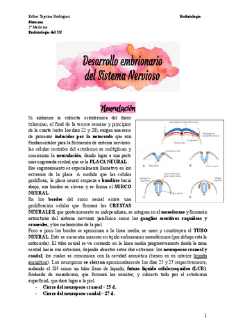 2.-Embriologia-del-SN.pdf