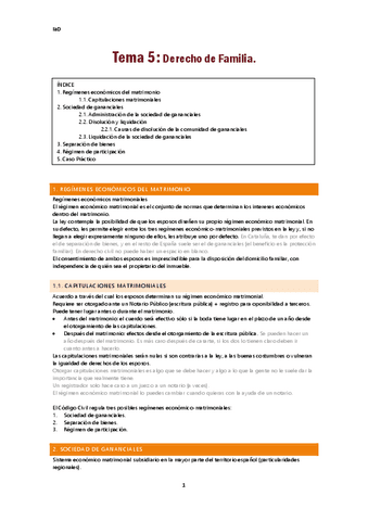 IaD-Tema5.pdf
