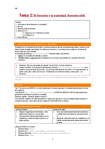 IaD-Tema1.pdf