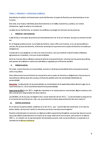 CIVIL-II-MARGARITA.pdf