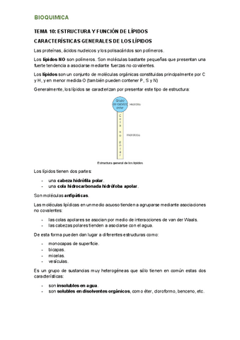 tema-10.pdf
