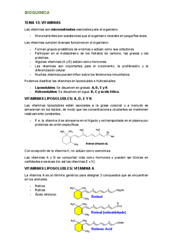 tema-13.pdf