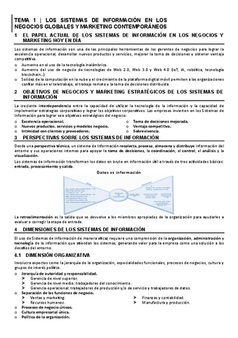 Apuntes-sistemas-de-informacion-y-automatizacion-basada-en-datos..pdf