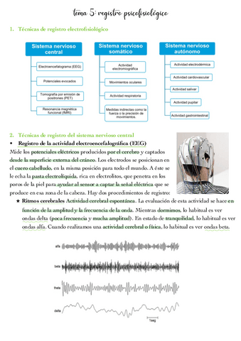 tema-5.pdf