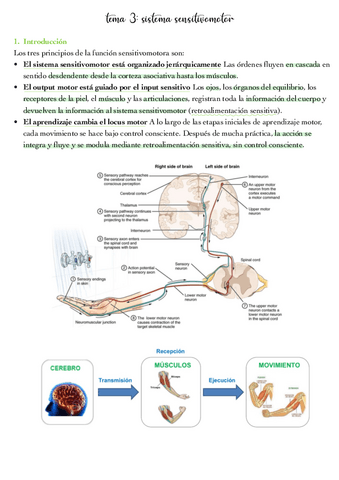 tema-3.pdf