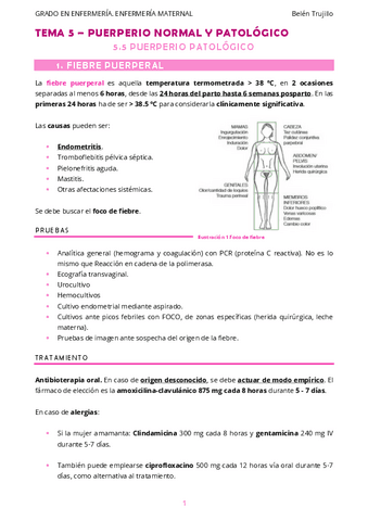MATERNO-Tema5-Puerperio-5PuerperioPatologico.pdf