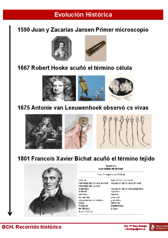 Tema-1-BCH-Alumnos-Evolucion-historica.pdf