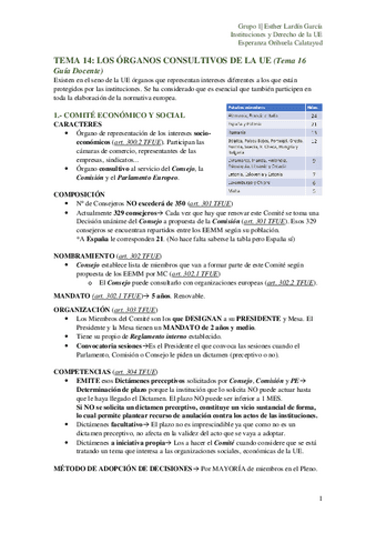 IDUE.-TEMA-14-TERMINADO.pdf