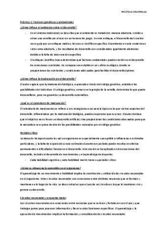 Relevante-Practicas-Desarrollo.pdf