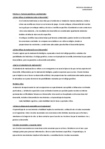 Relevante-Practicas-Desarrollo.pdf