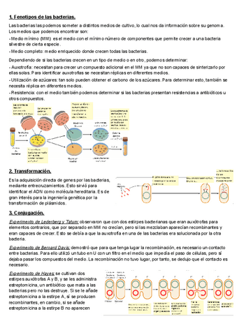 T5-5.3-Mapas-cromosomicos-en-procariotas-y-virus.pdf