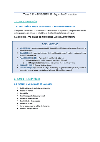 apuntes-fund-metodologicos-Tema-2.11.pdf