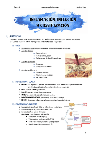 Tema-1-Inflamacion-infeccion-y-cicatrizacion.pdf