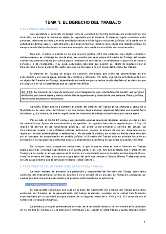 APUNTES-LABORAL.pdf