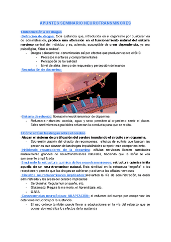 Seminario-NEUROTRANSMISORES.pdf