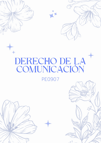DERECHO.pdf