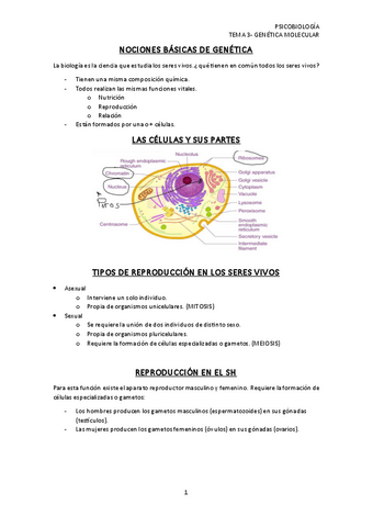 TEMA-3.pdf