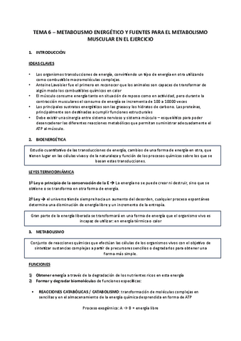 TEMA-6.pdf