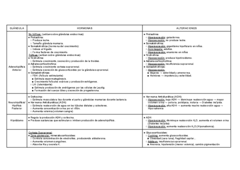 Sistema-Endocrino.pdf