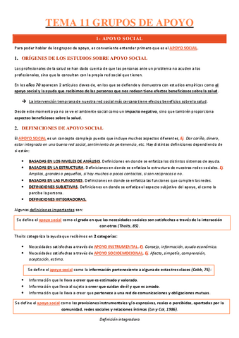 TEMA-11-SOCIAL-II.pdf