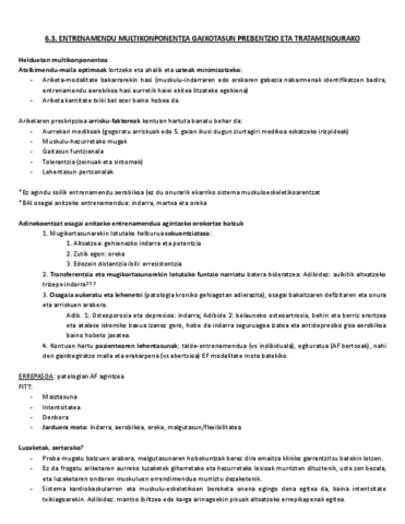 6.3.-Entrenamendu-multikonponentea.pdf