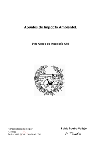 Impacto Ambiental. Pablo Trueba Vallejo.pdf