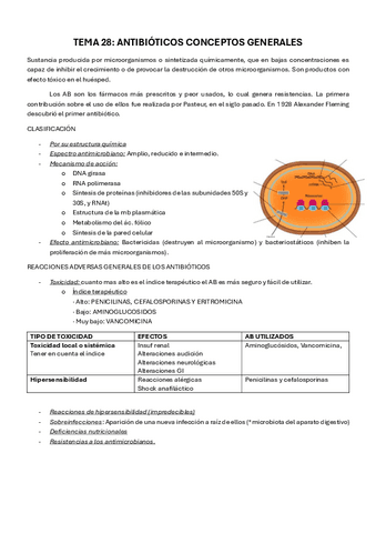 TEMA-28-ANTIBIOTICOS.-Conceptos-generales.pdf