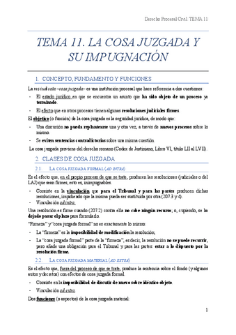 TEMA-11-PROCESAL-CIVIL.pdf