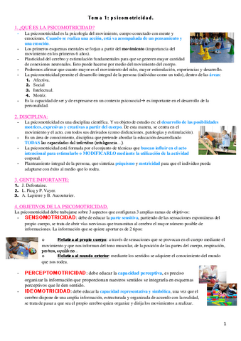 TEMA-1-psicomotricidad.pdf