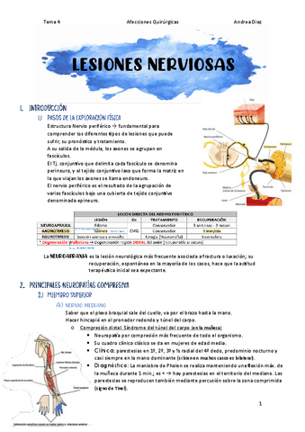 Tema-4-Lesiones-nerviosas.pdf