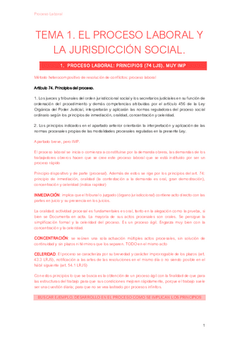 Tema-1-Proceso-Laboral.pdf