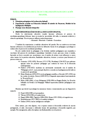 TEMA-3-PRINCIPIOS-DIDACTICOS-Y-ORGANIZATIVOS-DE-EDUCACION-INFANTIL.pdf