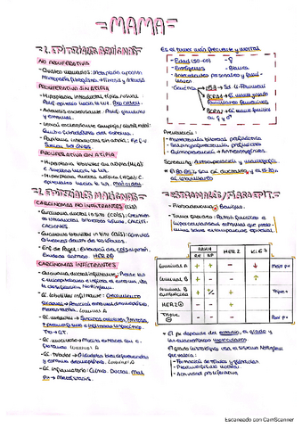 5.-Tumores-de-mama.pdf