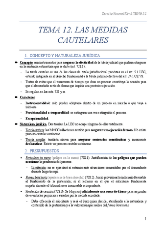 TEMA-12-PROCESAL-CIVIL.pdf