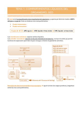 Fisio-II-Temario-completo.pdf