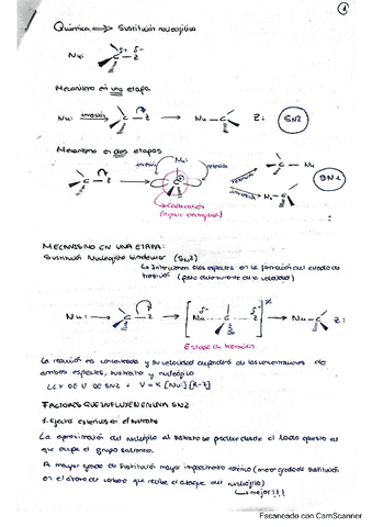 TODO-DE-SN1-SN2-E1-E2.pdf