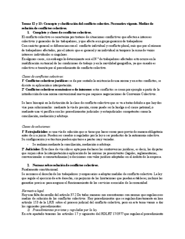 Temas-12-y-13-Concepto-y-clasificacion-del-conflicto-colectivo.pdf