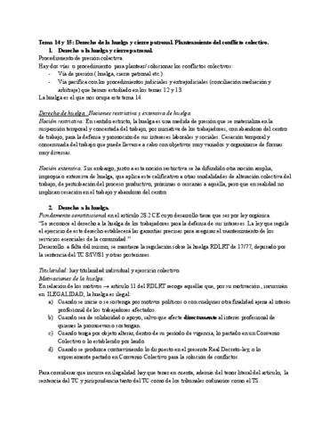 Tema-14-y-15-Derecho-de-la-huelga-y-cierre-patronal.pdf
