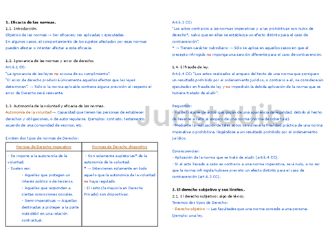 Tema 5. Eficacia de las normas.pdf.pdf