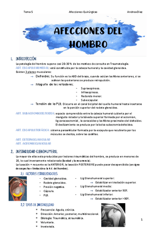 Tema-5-Afecciones-del-Hombro.pdf