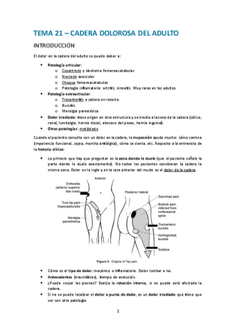 Tema-21.-Cadera-dolorosa-del-adulto.pdf