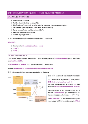 ENDOCRINOLOGIA-TEMA-5.2.pdf