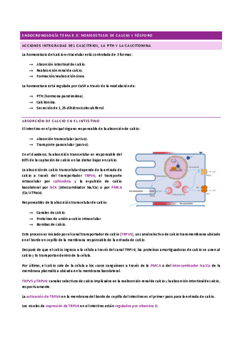 ENDOCRINOLOGIA-TEMA-5.3.pdf