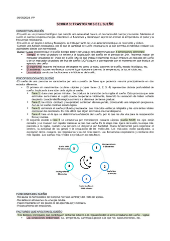 SCORM-3-PP.pdf