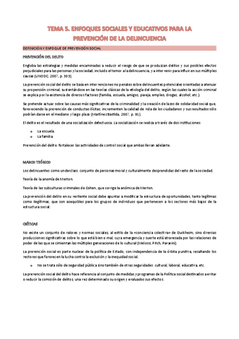 T.5-PREVENCION-DE-LA-DELINCUENCIA.pdf