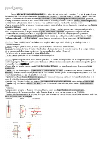 34.-Fracturas.pdf