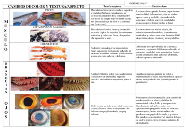 BLOQUE VII Continuación - Cambios de color y textura.pdf